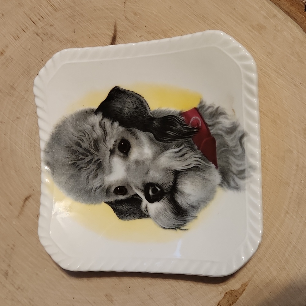 Vintage Royal Adderley Bone China Dog Design Small Dish